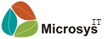 Microsys IT