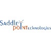 Saddle Point Technologies