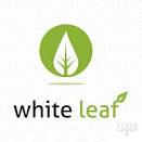 White Leaf Business Services Pvt Ltd