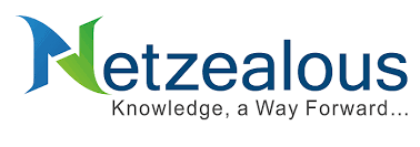 Netzealous Services