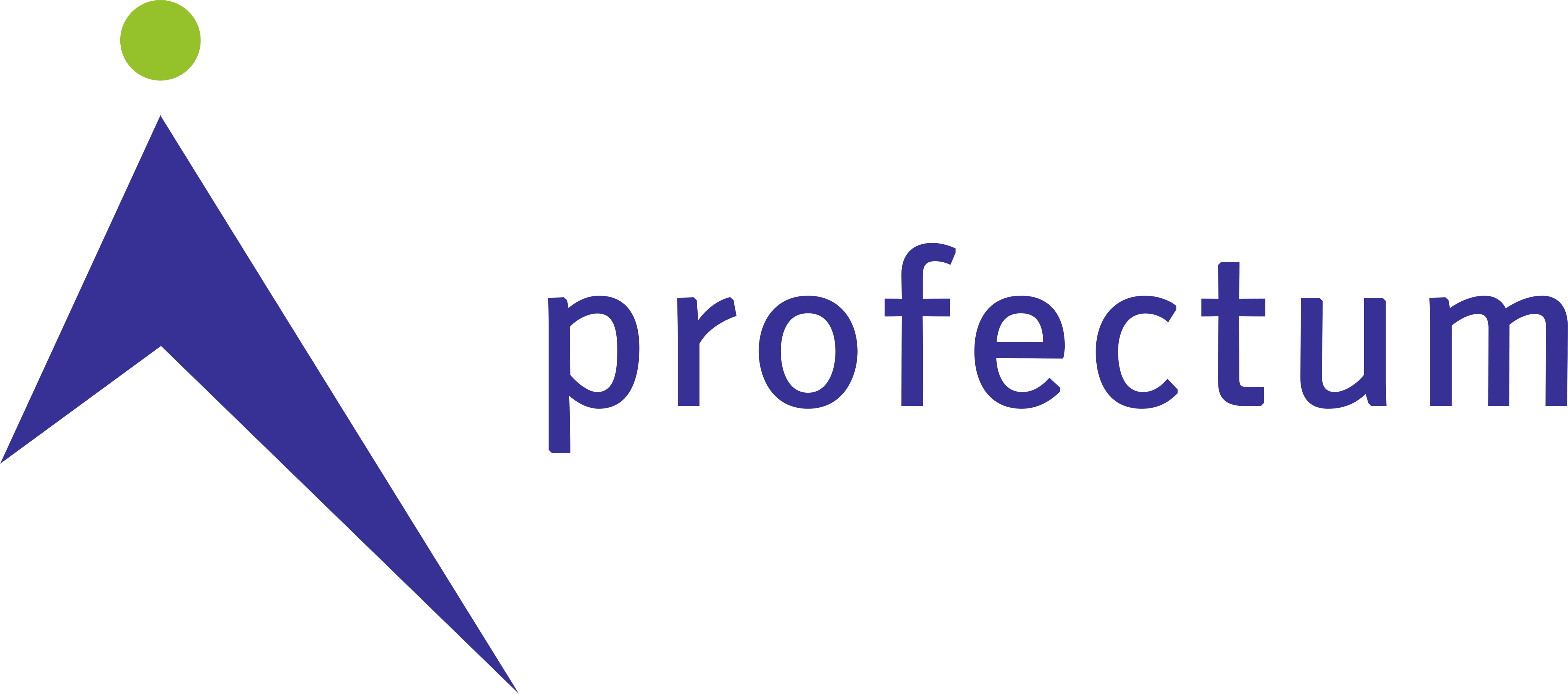 Profectum Market Solutions Pvt Ltd