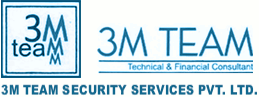 3M Team Security Services