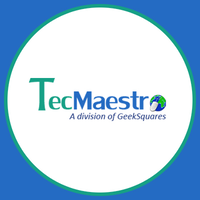 TecMaestro IT Solutions