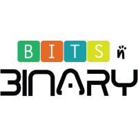 BitsnBinary Infosystems Pvt Ltd