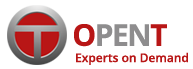 OpenT IT Services Pvt Ltd