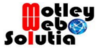 Motley Web Solutia Pvt. Ltd.