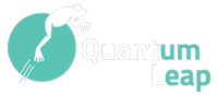 Quantum Leap Technologies