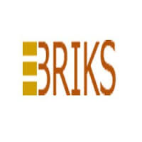 EBriks Infotech Pvt. Ltd