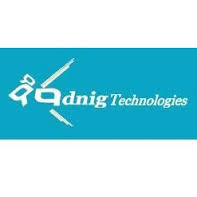 Adnig Tehnologies Private Limited