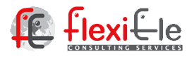 FlexiEle Consulting Services