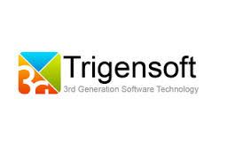 Trigensoft Solutions Pvt. Ltd.