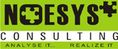 Noesys Consulting