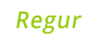 Regur Technology Solutions