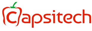 Capsitech IT Services Private Limited