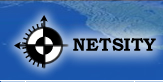 Netsity Systems Pvt Ltd