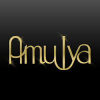 Amulya Infotech India Pvt Ltd