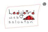 Ladybird Web Solution Pvt Ltd