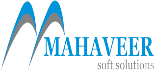 Mahaveer Soft Solutions Private Limited