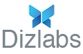 DizLabs IT Services Private Limited