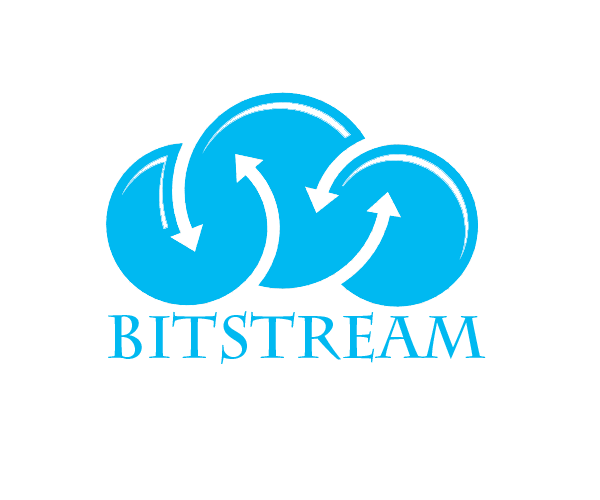 Bitstream Servises Pvt Ltd