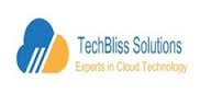 TechBliss Solutions
