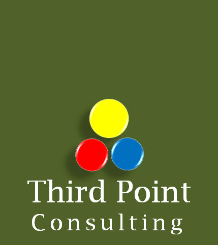 Third Point Consulting