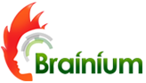 Brainium Information Technologies Pvt. Ltd.