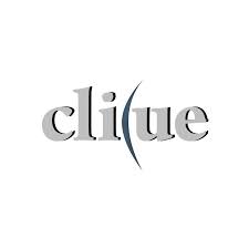 Clicue IT Solutions Pvt. Ltd.