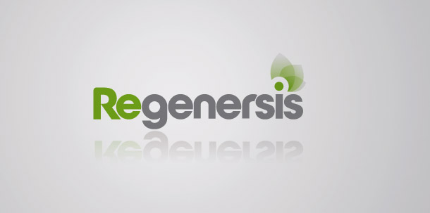 Regenersis India Private Limited