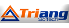 Triang Softech Pvt Ltd