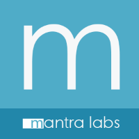 Mantra Labs Pvt. Ltd.
