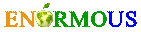 Enormous IT Services Pvt Ltd