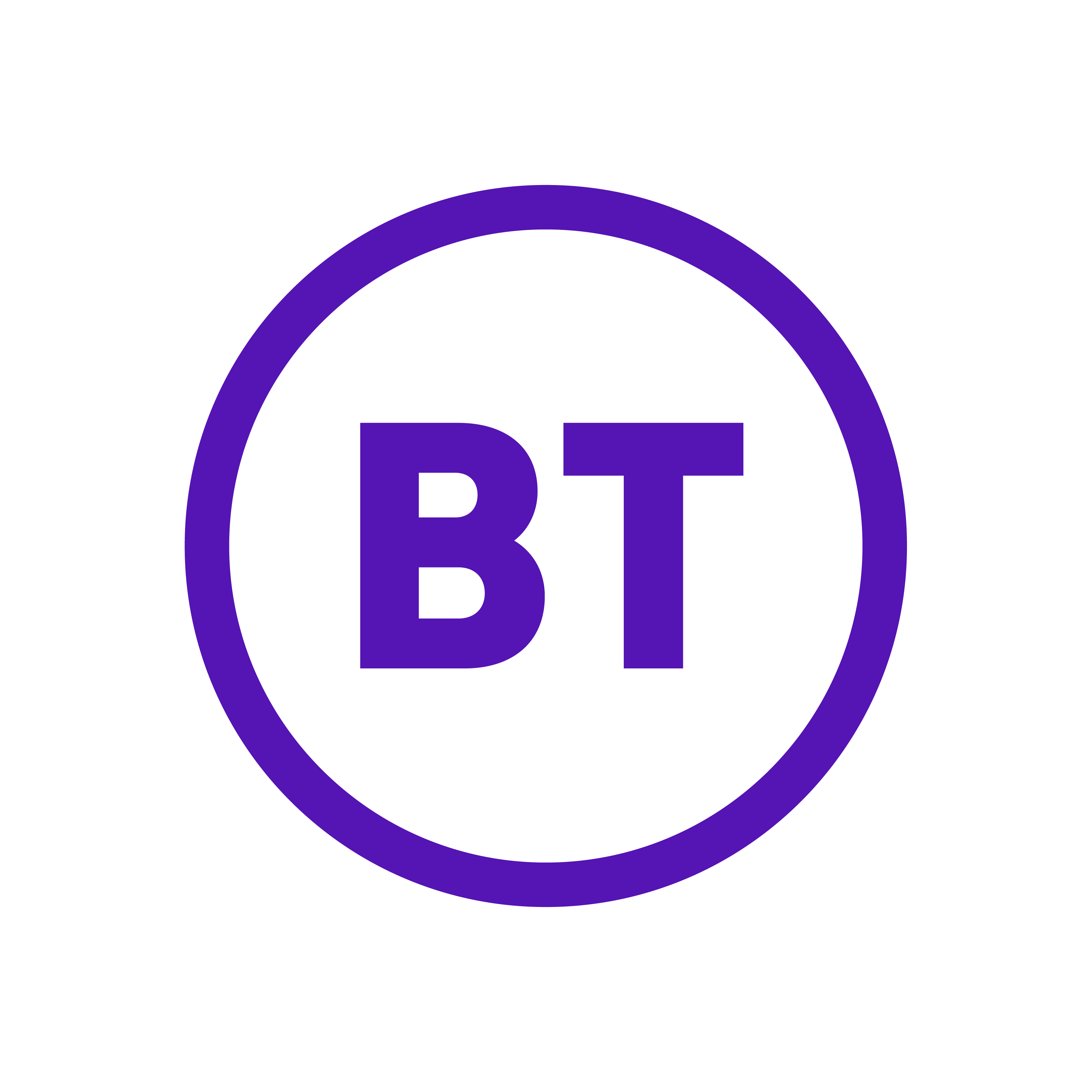 BT GLOBAL SERVICES PVT LTD