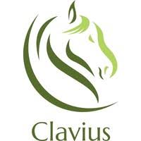 Clavius solutions