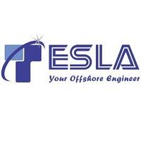 Tesla Outsourcing Services