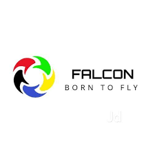 FALCON GROUPS
